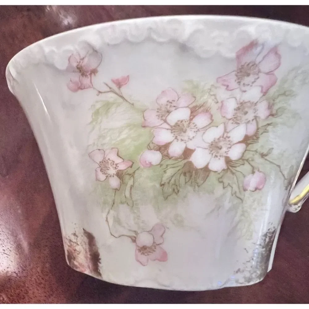 Porcelain Haviland Limoges France tea cup saucer pink green floral gold accent